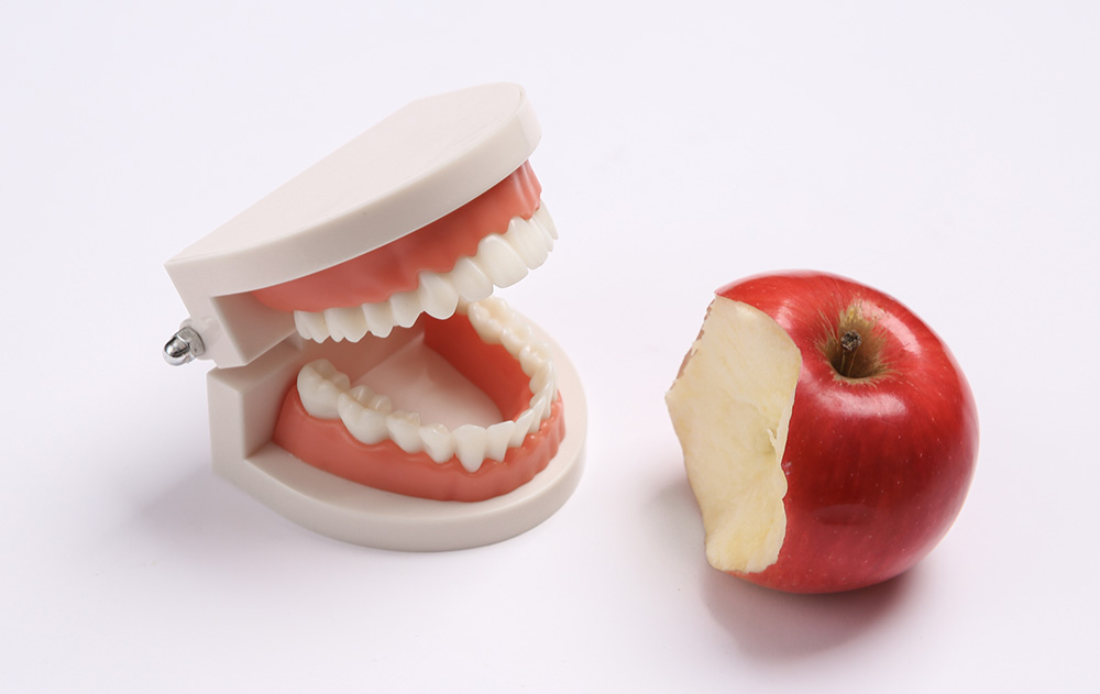 Искусственная челюсть и надкушенное яблоко